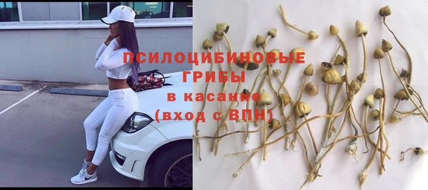 стаф Арсеньев