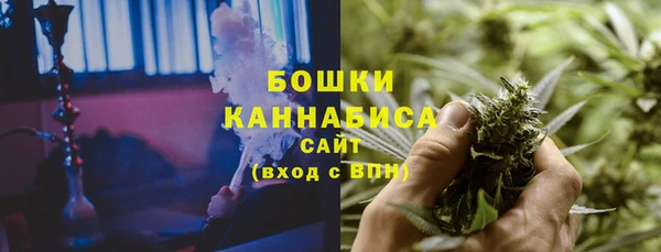 стаф Арсеньев