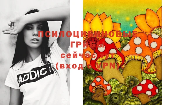 apvp Протвино
