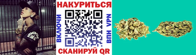 Бошки марихуана гибрид  Отрадный 